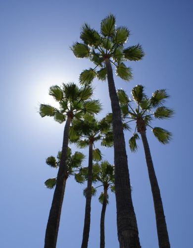 Long Beach