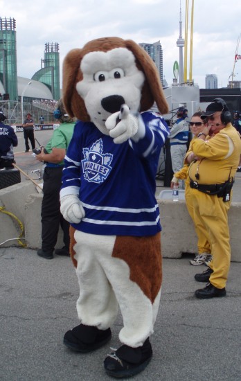 De mascotte van Toronto