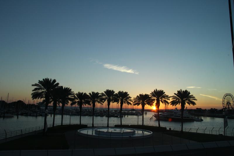 , St. Petersburg,